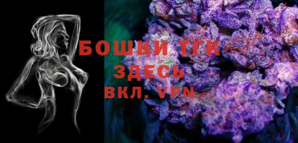 прущие крисы Няндома