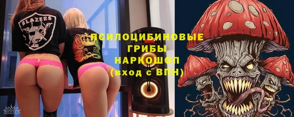 прущие грибы Валуйки