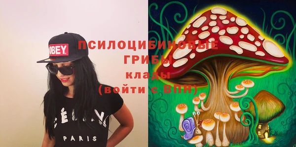 прущие крисы Няндома