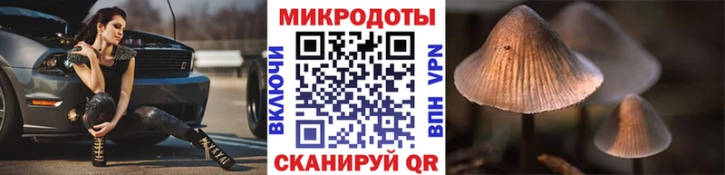 Галлюциногенные грибы Cubensis  Киселёвск 